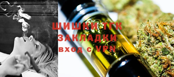 дурь Арсеньев