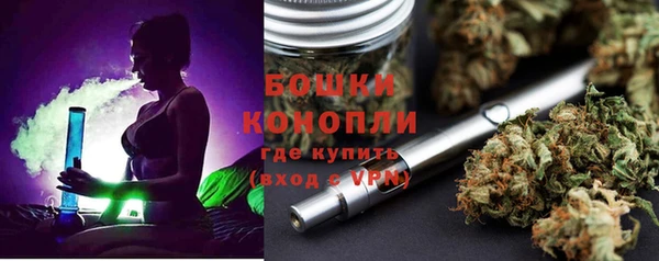 дурь Арсеньев