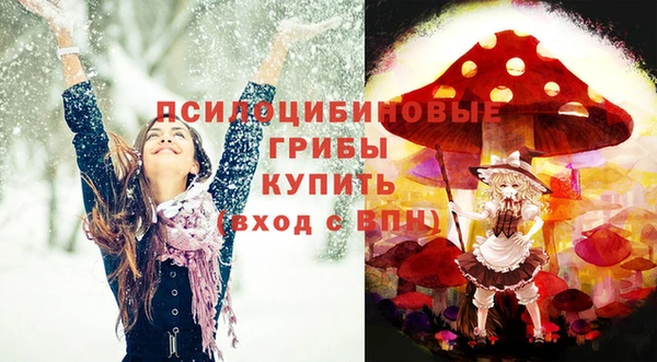 бошки Аркадак