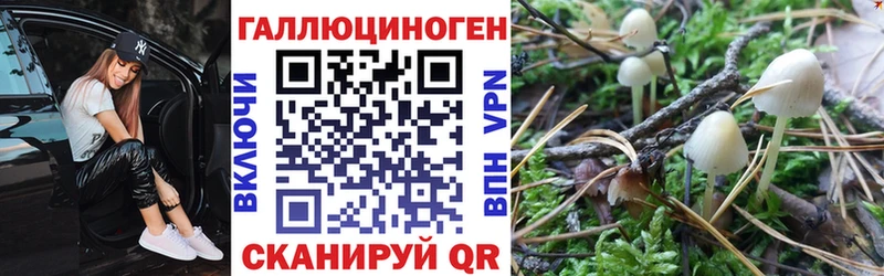 mega сайт  Сортавала  Псилоцибиновые грибы MAGIC MUSHROOMS  купить наркотики цена 